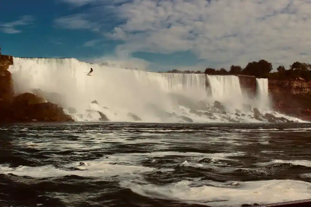 yokohama geolandar vs toyo proxes niagara falls